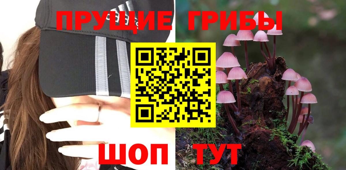 Псилоцибиновые грибы Magic Shrooms Вышний Волочёк