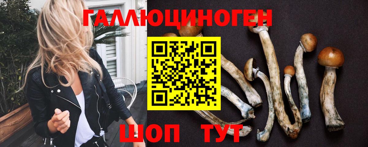 Вышний Волочёк  Псилоцибиновые грибы Cubensis  Вход с VPN 